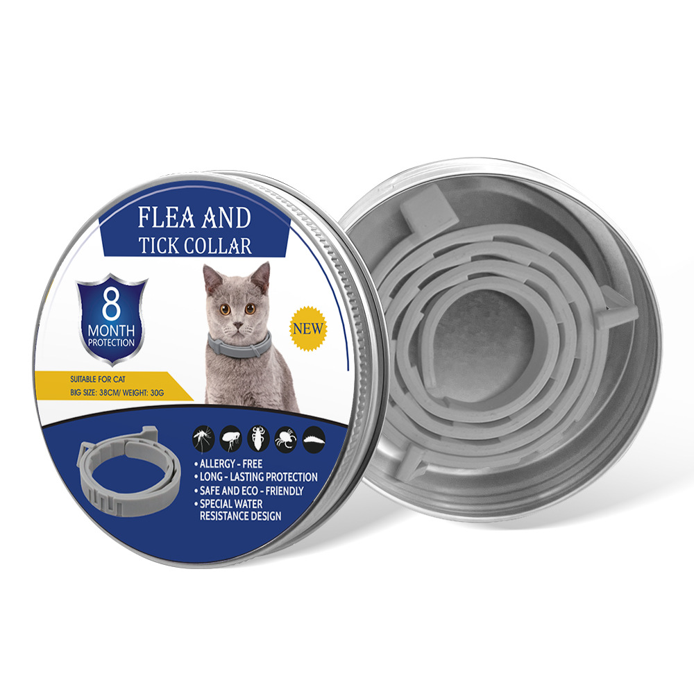 회색 고양이 디자인 선물 세트