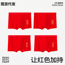 ¿ʿѝƽѝ͸ĽYѝltѝ