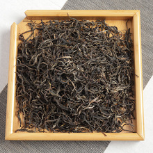 ���l ����ն��� 2023�������կ���� �紺�� ɢ��  ����