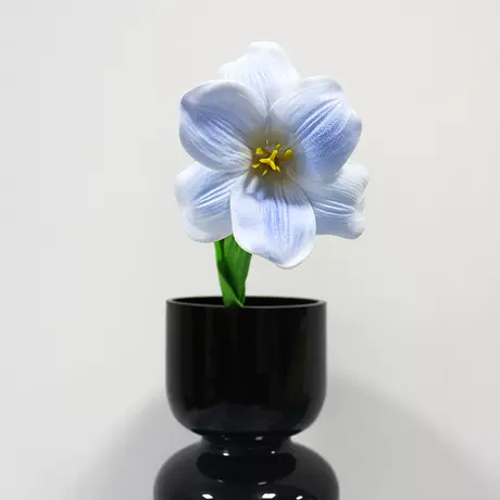 Crushed Ice Blue Brownie Tulip