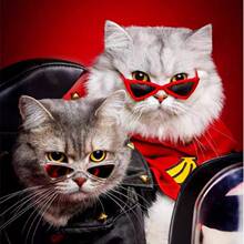 �ɐ�����؈�����R�b���̫��R�����Ʒ���Ԍ�������؈���R���