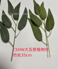 ���R�d�S�����l������������~���~�Gֲ����F�����������~���~