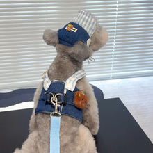 秋装新款宠物狗狗猫咪宠物服装比熊贵宾约克夏可牵引胸背牛仔背心