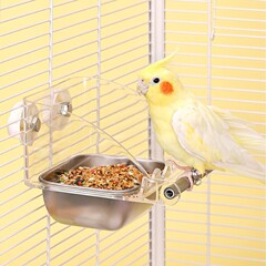 透明鸟食盒亚克力鹦鹉鸟食盆水盆喂食喂鸟器不锈钢碗防撒防碗杯子