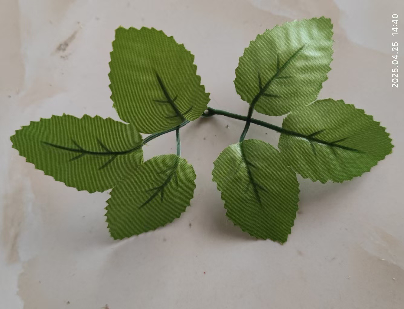 微信图片_20250425150615