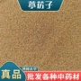 产地大区葶苈子中药材