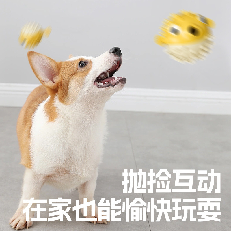 Suministros para mascotas nuevos juguetes para perros Sonido rechinar los dientes Bumping Pez TPR Bola de comida Juguetes educativos interactivos para cachorros