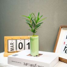 ���u�_�h��ָ��΢�����������^�~ֲ��Ĵָ�辰������GֲС����