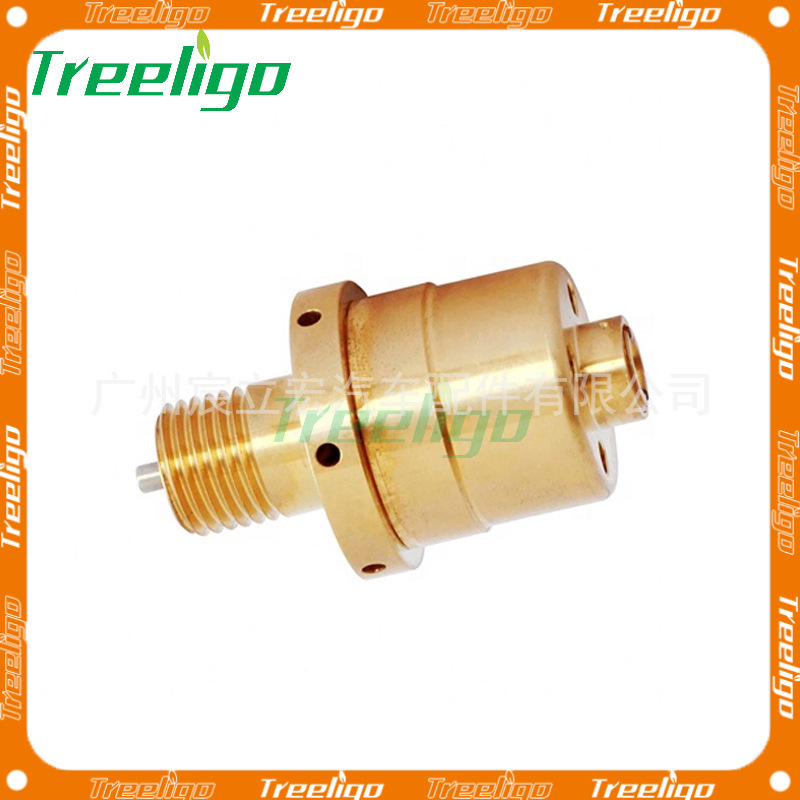 Aplicable a SANDEN Ford Fiat Peugeot Renault Volkswagen VOLVO Ford VOLVO Válvula de control de la válvula de solenoide