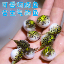 ���������ˮͧ�^�p�~���w��ˮ�~�Ꭷ���~�����~�Ě�W�t�~