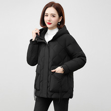 Ʒ�Ƌ�����q��Ů���L��2023�¿�r�Ќ����@�ݚ��|�����궬������