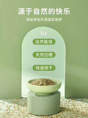 Catnip Exclude Hair ball clean oral cavity Catnip Kitty Mint powder Recuperate stomach Catnip cat snacks