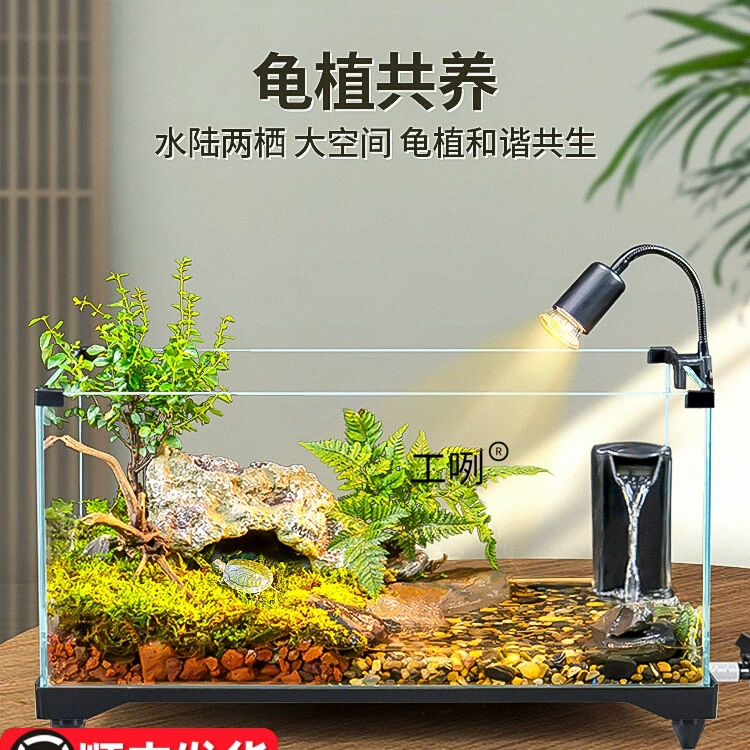 Резервуар для разведения черепах, экологический ландшафтный дизайн, бытовой стеклянный резервуар, небольшой дом, резервуар для разведения амфибий, аквариум