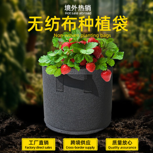Amazon Black Thick Felt Planting Bags for Plants, Gardening Seedling Bags, Tree Planting Bags, Green Plant Bags
