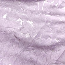 Ứɫ񻨼yBȹѝŮbbf1326