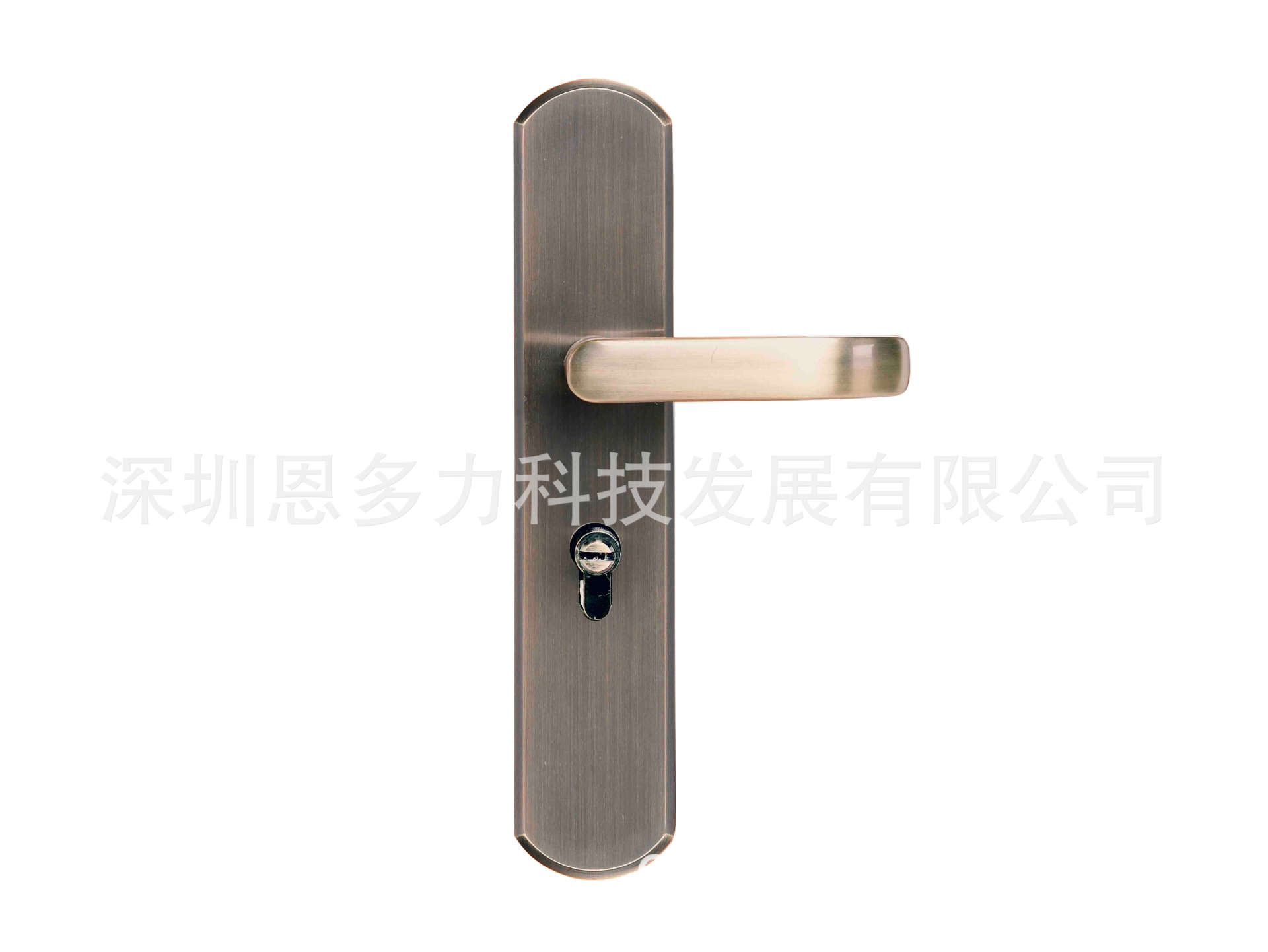 ���۹�Ӧ�1�3Schlage������ FD1030 ��е����о��