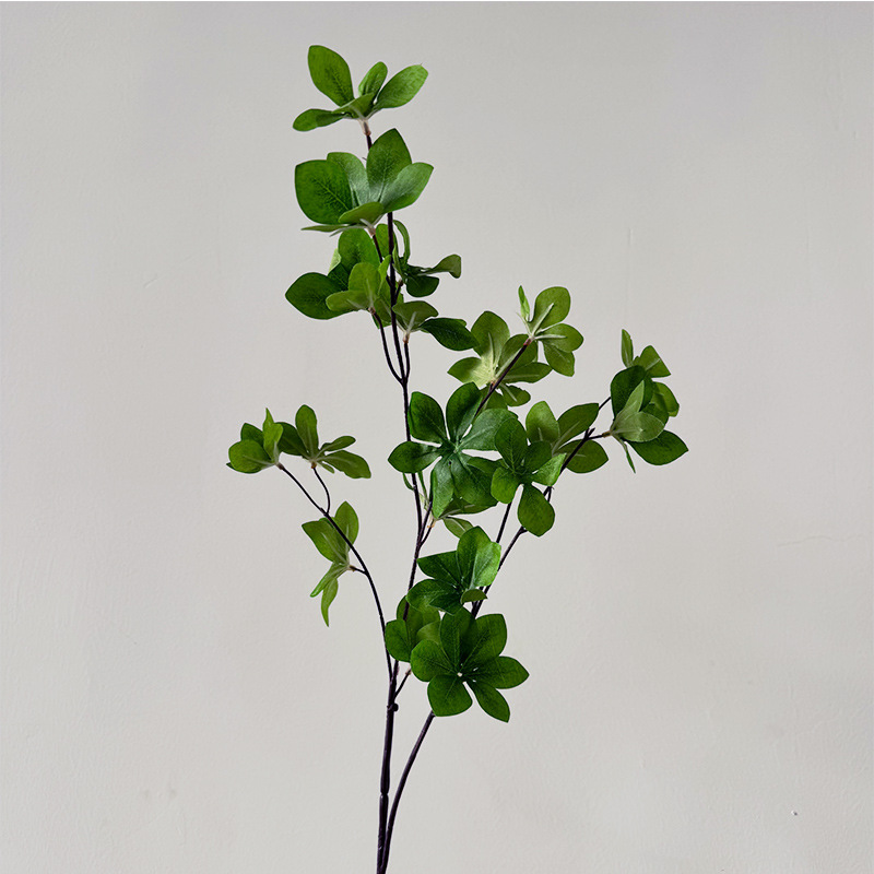 매달린 시계 잎 녹색