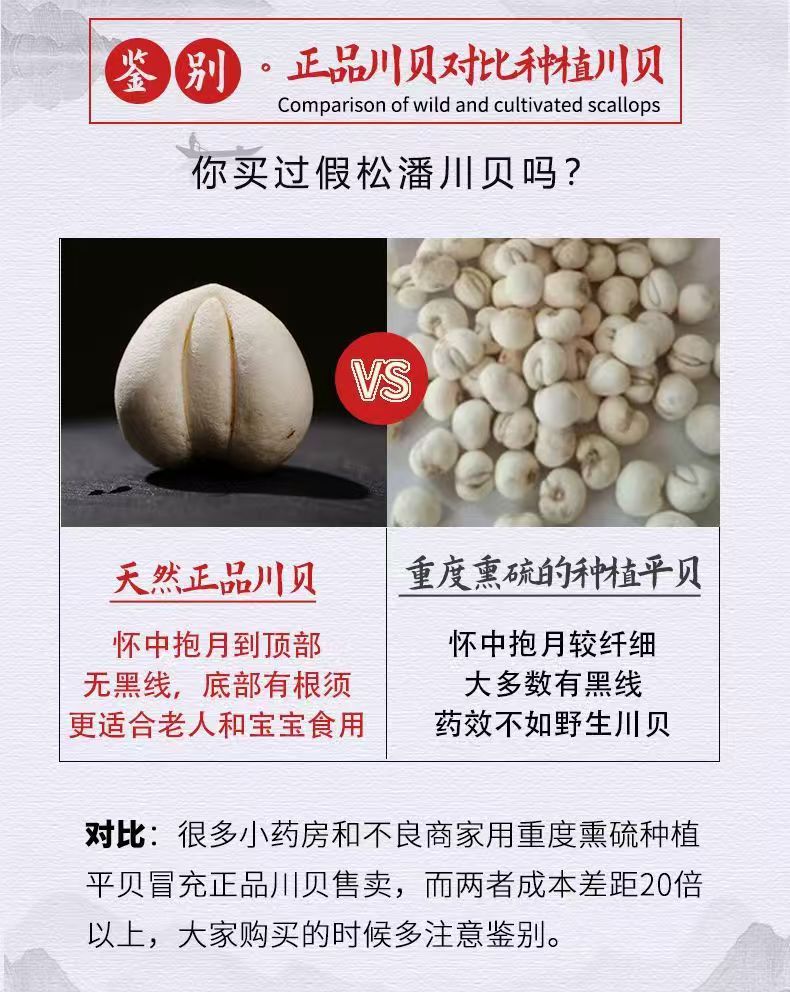 Sichuan Chuan Bei Mu Song Bei Fritillaria Bulbs Dried TCM Herb 1g Sample Pack preparation
