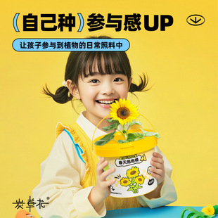 �҃�����Gֲ����.DIY�YƷ ��Ʒ���x