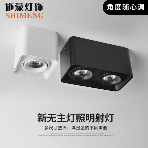 LED surface-mounted downlight without main light, COB spotlights for home use, single or double head lighting, ceiling light fixture, square