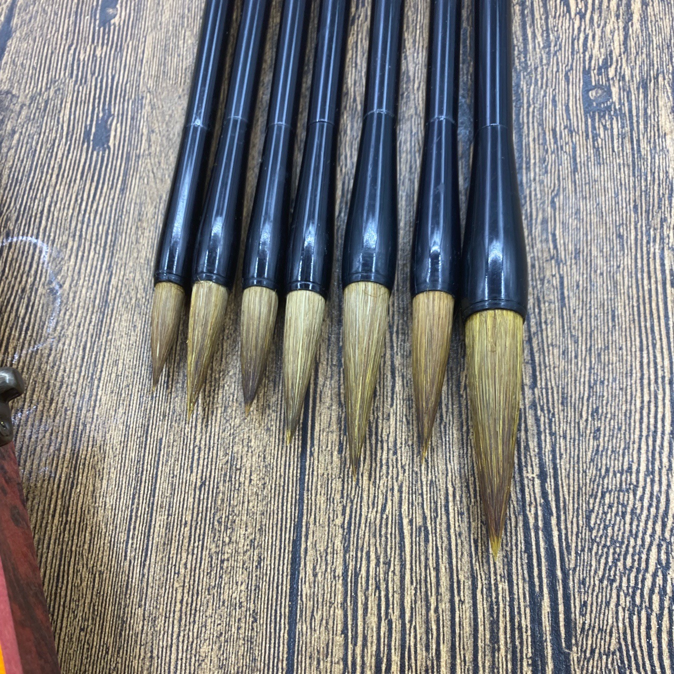 IMG_8523(20220215-151411)