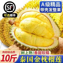 金枕榴莲10斤包邮整个整箱巴掌小一新鲜水果当季斤顺丰榴莲