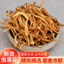 500g虫草花干货菌菇金蛹虫草北虫草菇餐饮煲汤材料批发养生食材