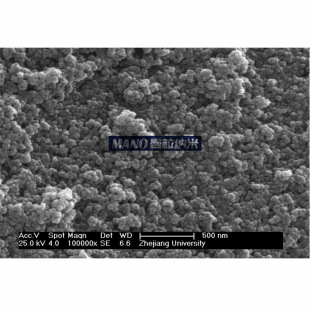 �����{�������F �������������F �߼�΢�����������F Fe3O4