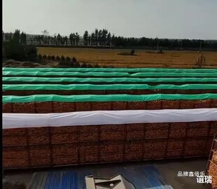 �Zʳ���������겼�ڷ������겼�@���ׂ}���\���w�n�����ϲ�����
