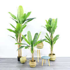 室內軟裝大型仿真植物芭蕉樹盆栽櫥窗落地裝飾熱帶綠植香蕉樹盆景