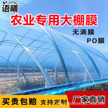 ZrôĤPO߲ĤҲݮϲĤBֳ