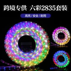 越境特別供給 220V 高電圧 6 色ライトストリップセット 2835 高電圧屋外競馬流水カラフルな雰囲気ライトストリップ