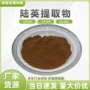 水溶接骨草提取物