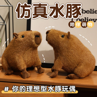 �ɐۿ�Ƭ��������ë�q��߿�ͨ����ˮ������ż��ͯ�Y�ﰲ������