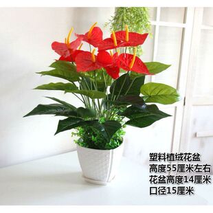 Fake red palm plastic potted flowers Hongyun head, green plant fake flower bonsai office living room living room flower opening gift gift