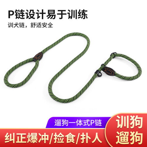 Manufacturer wholesale dog training P rope extended 2.5 meters thick P chain retractable all-in-one easy-to-pull pet leash