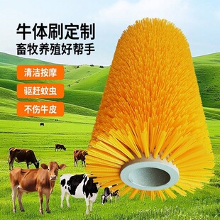 �羳؛Դţ�wˢ��ţ��W�ϰWëˢ�����坍��Ħˢȫ�Ԅ�늄�ţ�wˢ