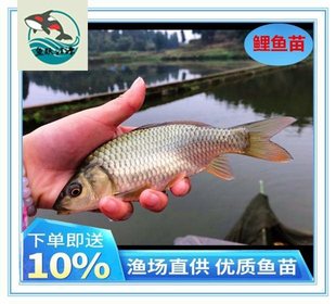 �Ĵ��ɶ����|�tβ�����~����w�������~�����Bֳ��ˮ�~����]����