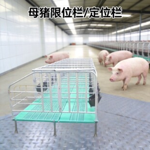 ���ʽĸ�i��λ�� ����\䓹���λ���i���Bֳ�üӺ����ʽ��λ��