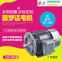 YD׃�O�p�ٶ������ஐ�������_늄әC YD100L2-2/4�O��헮���