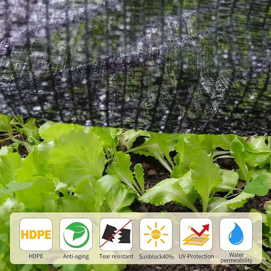 Трансграничная сетка для затенения простого плетения, сельскохозяйственная сетка для затенения, солнцезащитная сетка, черная сетка для питомников цветов, зеленая сетка для затенения простого плетения