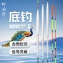 灵敏细长羽毛鲫鱼