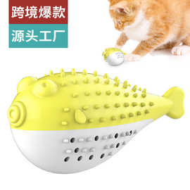 Pets SuppliesCats ToysWith Sound Funny Kitten Toothbrush