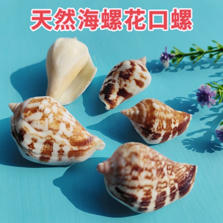 MEITU_20241212_194104715