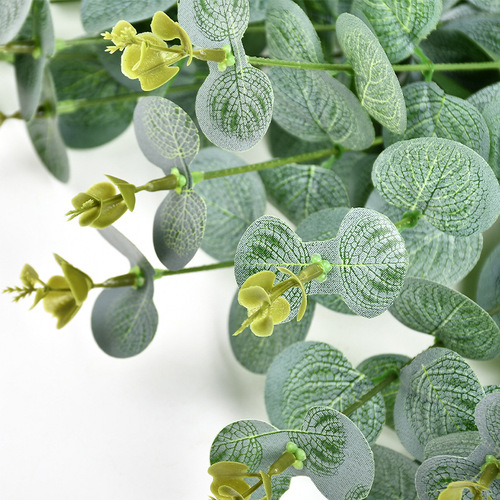 Simulated plant bouquet money leaf bouquet plant wall with grass magnolia leaf green plant wall decoration plastic small plant