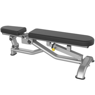 Baudron Adjustable Dumbbell Chair J-037