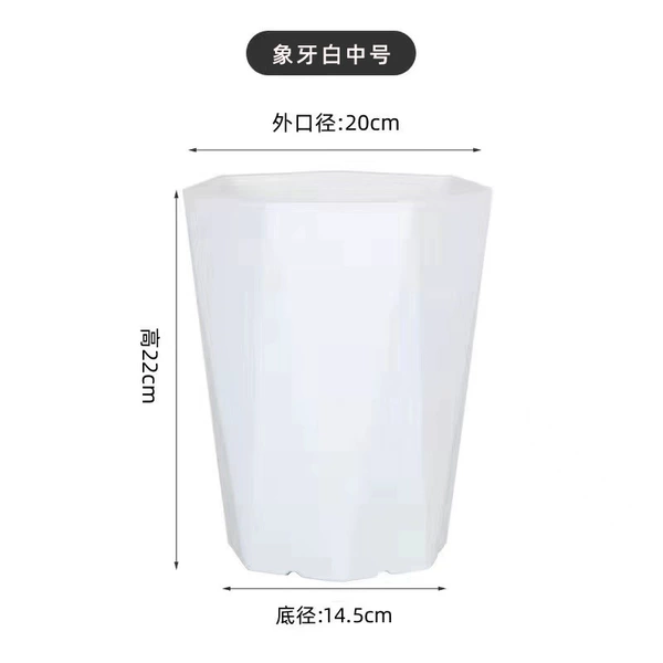 Ivory white medium