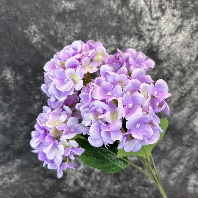 Mallorca artificial flor 5-cabeza hortensia hogar decoración de la boda de la flor de la pared arreglo paquete 5-tenedor hortensia grande tela de seda flor falsa