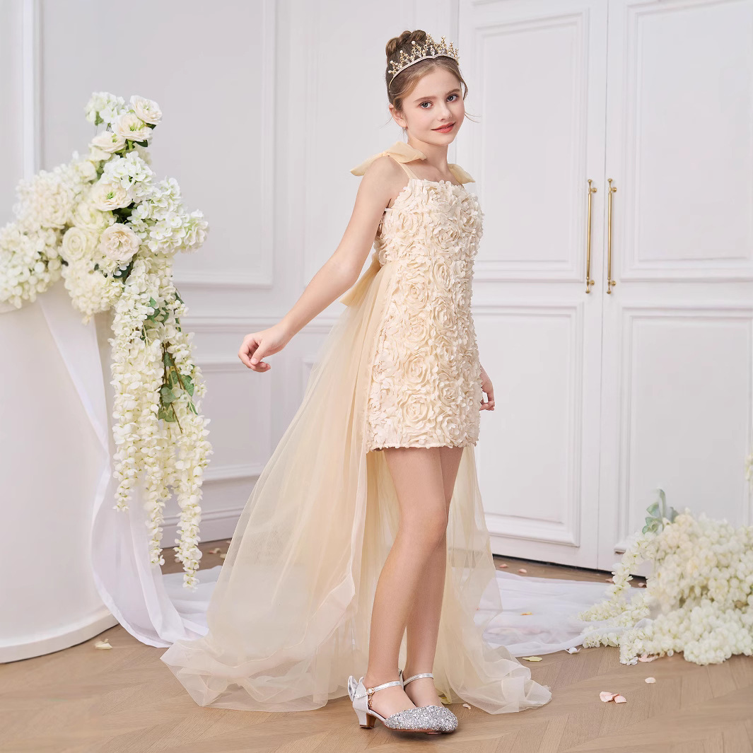 Vestido de niño transfronterizo, vestido de princesa, vestido de anfitrión, vestido de fiesta de niña de flores, vestido de noche de un año de bebé