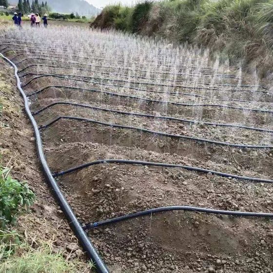 New imported agricultural sprinkler irrigation belt micro-spray belt hose main atomization water-saving watering automatic watering device complete set
